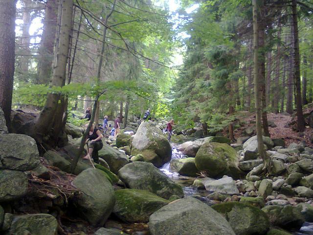 Image for Stream in the Giant Mountains