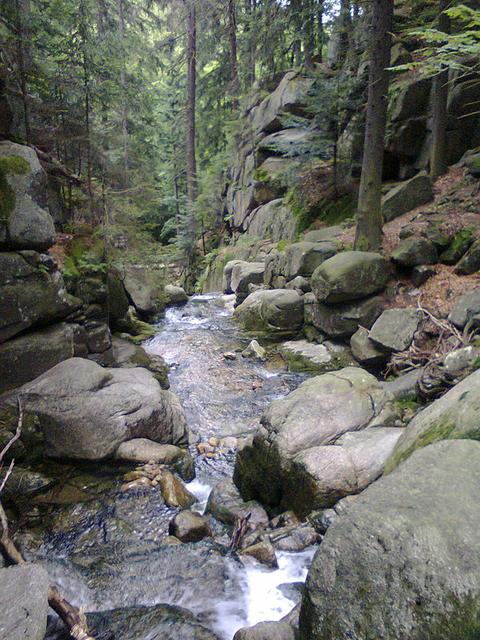 Image for Stream in the Giant Mountains