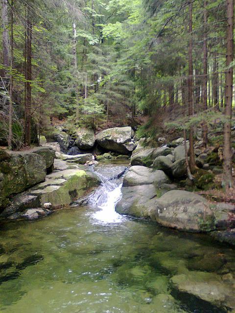 Image for Stream in the Giant Mountains