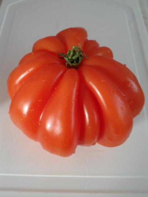 Image for Tomato by Marius Watz ;-)