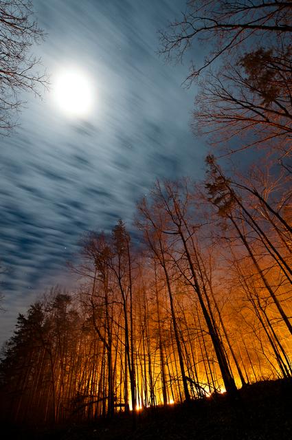 Image for Full Moon and a Forest Fire